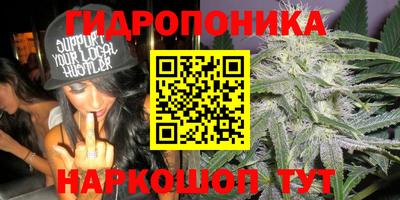 PSILOCYBIN Кандалакша