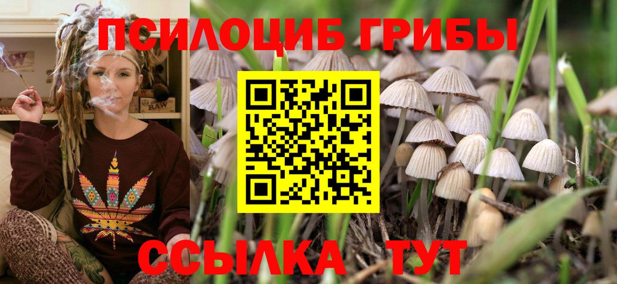 Галлюциногенные грибы мицелий Бузулук