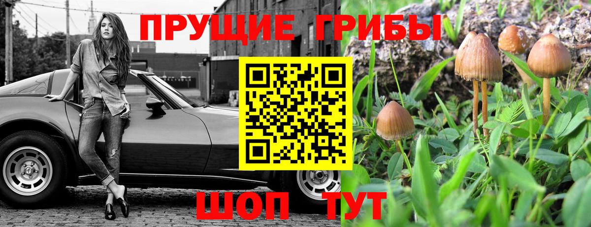 купить наркоту  Галлюциногенные грибы Psilocybe  Галлюциногенные грибы Magic Shrooms  Вход с VPN  Бузулук 